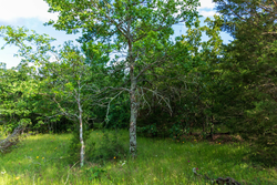 property photo for Falcon Crest Tract 20, 5.25 acres for sale in Pushmataha County, Oklahoma