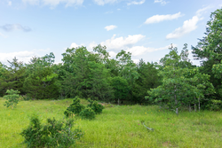 property photo for Falcon Crest Tract 22, 7.17 acres for sale in Pushmataha County, Oklahoma