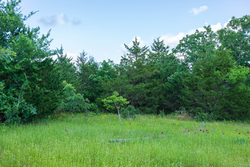property photo for Falcon Crest Tract 22, 7.17 acres for sale in Pushmataha County, Oklahoma