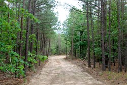 property photo for Trophy Ridge Phase II Tract 75, 12.07 acres for sale in Pushmataha County, Oklahoma