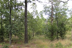 property photo for Trophy Ridge Phase III Tract 10, 7.11 acres for sale in Pushmataha County, Oklahoma