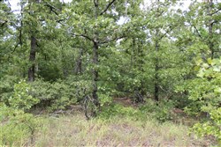 property photo for Trophy Ridge Phase III Tract 10, 7.11 acres for sale in Pushmataha County, Oklahoma