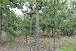 property photo for Trophy Ridge Phase III Tract 10, 7.11 acres for sale in Pushmataha County, Oklahoma