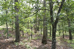 property photo for Trophy Ridge Phase III Tract 10, 7.11 acres for sale in Pushmataha County, Oklahoma