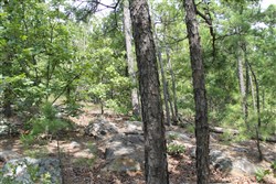 property photo for Trophy Ridge Phase III Tract 10, 7.11 acres for sale in Pushmataha County, Oklahoma