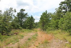 property photo for Trophy Ridge Phase III Tract 36, 6.99 acres for sale in Pushmataha County, Oklahoma