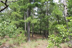 property photo for Trophy Ridge Phase III Tract 36, 6.99 acres for sale in Pushmataha County, Oklahoma