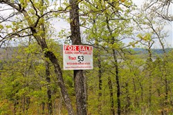 property photo for Trophy Ridge Phase III Tract 53, 5.58 acres for sale in Pushmataha County, Oklahoma