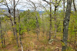 property photo for Trophy Ridge Phase III Tract 53, 5.58 acres for sale in Pushmataha County, Oklahoma