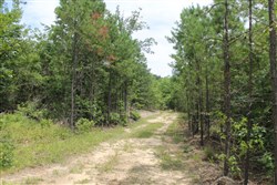property photo for Trophy Ridge Phase III Tract 8, 8.76 acres for sale in Pushmataha County, Oklahoma