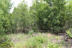 property photo for Trophy Ridge Phase III Tract 8, 8.76 acres for sale in Pushmataha County, Oklahoma