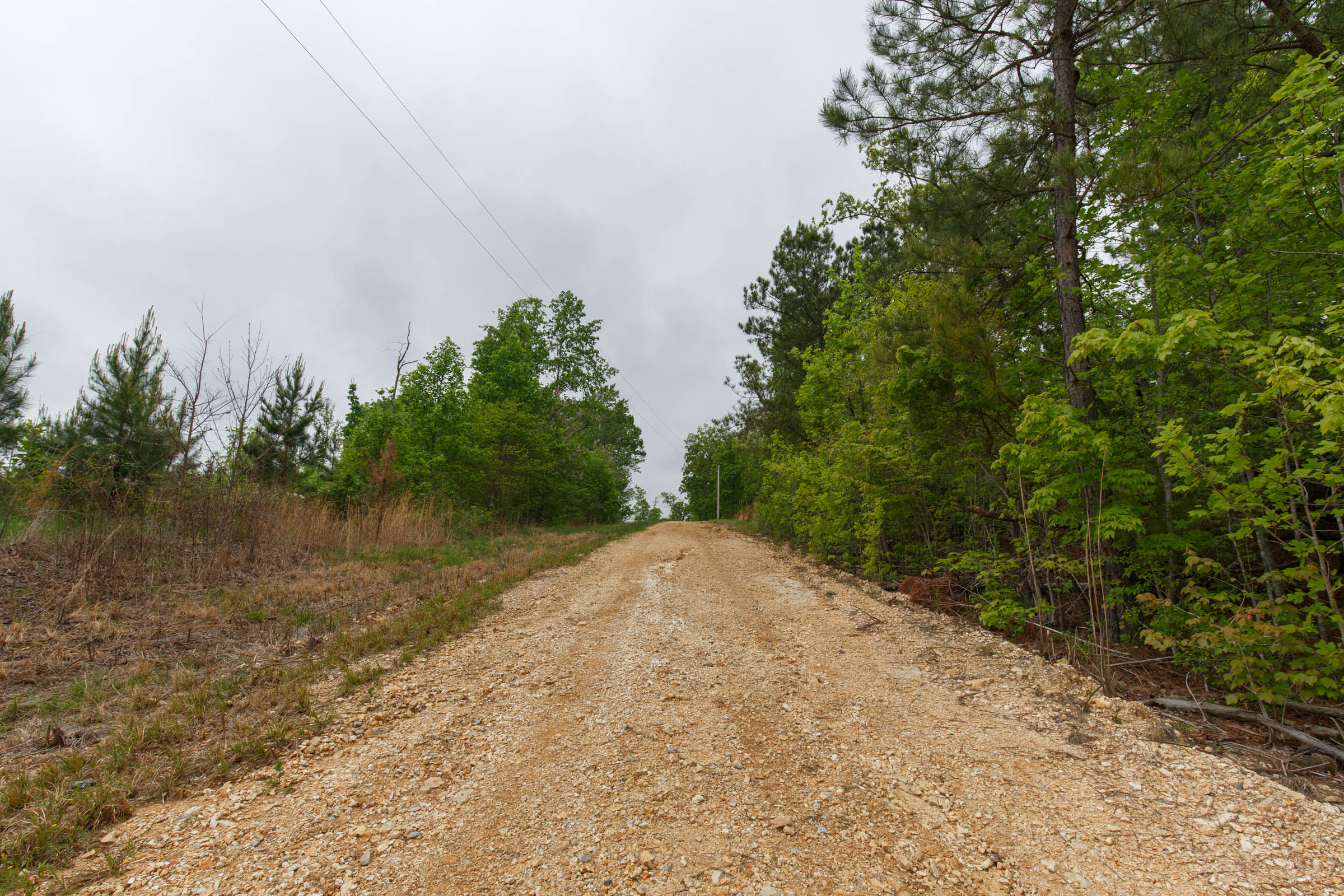 Tract 11 at Red Barn Ranch in Benton County, Tennessee
