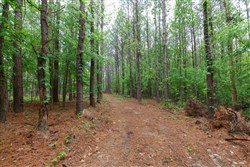 property photo for Red Barn Ranch Tract 27, 8.21 acres for sale in Benton County, Tennessee
