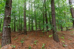 property photo for Red Barn Ranch Tract 27, 8.21 acres for sale in Benton County, Tennessee