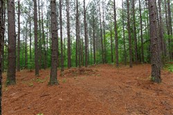 property photo for Red Barn Ranch Tract 27, 8.21 acres for sale in Benton County, Tennessee