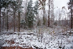 property photo for Sweet Water Ranch Tract 26, 6.1 acres for sale in Decatur County, Tennessee