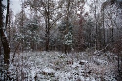 property photo for Sweet Water Ranch Tract 26, 6.1 acres for sale in Decatur County, Tennessee
