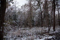 property photo for Sweet Water Ranch Tract 26, 6.1 acres for sale in Decatur County, Tennessee