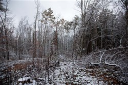 property photo for Sweet Water Ranch Tract 26, 6.1 acres for sale in Decatur County, Tennessee