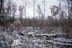 property photo for Sweet Water Ranch Tract 27, 6.4 acres for sale in Decatur County, Tennessee