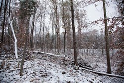 property photo for Sweet Water Ranch Tract 27, 6.4 acres for sale in Decatur County, Tennessee
