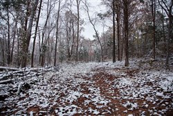 property photo for Sweet Water Ranch Tract 27, 6.4 acres for sale in Decatur County, Tennessee