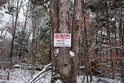 property photo for Sweet Water Ranch Tract 27, 6.4 acres for sale in Decatur County, Tennessee