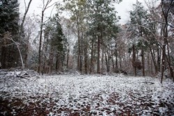 property photo for Sweet Water Ranch Tract 27, 6.4 acres for sale in Decatur County, Tennessee