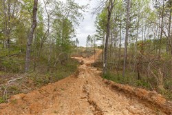 property photo for Twin Rivers Tract 11, 6.91 acres for sale in Henderson County, Tennessee