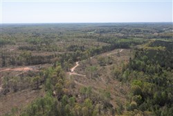 property photo for Twin Rivers Tract 11, 6.91 acres for sale in Henderson County, Tennessee