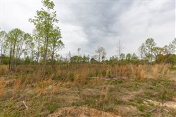 property photo for Twin Rivers Tract 11, 6.91 acres for sale in Henderson County, Tennessee