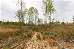 property photo for Twin Rivers Tract 11, 6.91 acres for sale in Henderson County, Tennessee