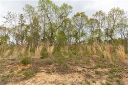 property photo for Twin Rivers Tract 11, 6.91 acres for sale in Henderson County, Tennessee