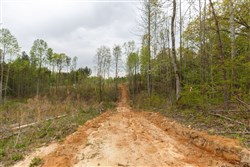 property photo for Twin Rivers Tract 16, 5.39 acres for sale in Henderson County, Tennessee