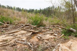 property photo for Twin Rivers Tract 16, 5.39 acres for sale in Henderson County, Tennessee