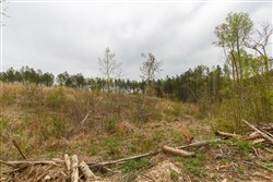 property photo for Twin Rivers Tract 16, 5.39 acres for sale in Henderson County, Tennessee
