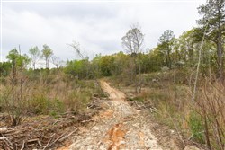 property photo for Twin Rivers Tract 16, 5.39 acres for sale in Henderson County, Tennessee