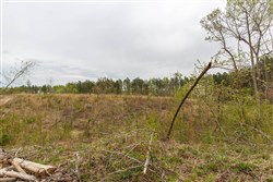 property photo for Twin Rivers Tract 16, 5.39 acres for sale in Henderson County, Tennessee