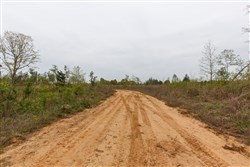 property photo for Twin Rivers Tract 27, 5.28 acres for sale in Henderson County, Tennessee