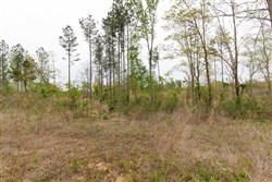 property photo for Twin Rivers Tract 27, 5.28 acres for sale in Henderson County, Tennessee