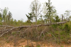 property photo for Twin Rivers Tract 27, 5.28 acres for sale in Henderson County, Tennessee