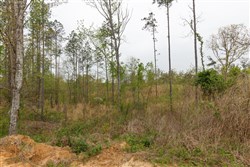 property photo for Twin Rivers Tract 27, 5.28 acres for sale in Henderson County, Tennessee
