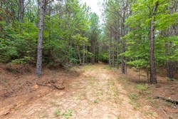 property photo for Whiskey Ridge Tract 25, 18.44 acres for sale in Henderson County, Tennessee