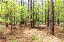 property photo for Whiskey Ridge Tract 25, 18.44 acres for sale in Henderson County, Tennessee