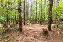property photo for Whiskey Ridge Tract 25, 18.44 acres for sale in Henderson County, Tennessee