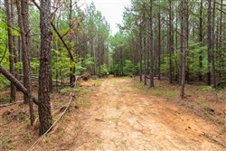 property photo for Whiskey Ridge Tract 25, 18.44 acres for sale in Henderson County, Tennessee