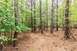 property photo for Whiskey Ridge Tract 25, 18.44 acres for sale in Henderson County, Tennessee