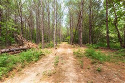 property photo for Whiskey Ridge Tract 29, 14.57 acres for sale in Henderson County, Tennessee