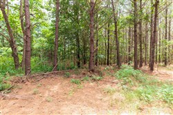 property photo for Whiskey Ridge Tract 29, 14.57 acres for sale in Henderson County, Tennessee
