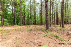 property photo for Whiskey Ridge Tract 29, 14.57 acres for sale in Henderson County, Tennessee